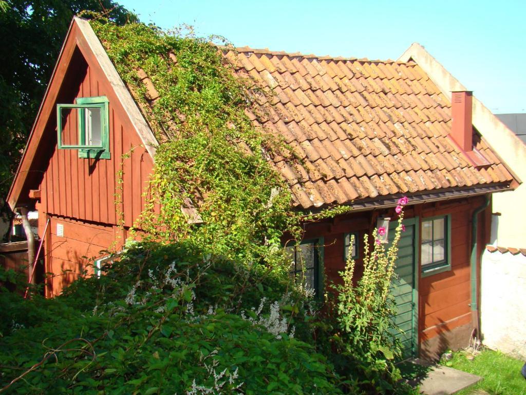 Visby Logi & Vandrarhem Номер фото
